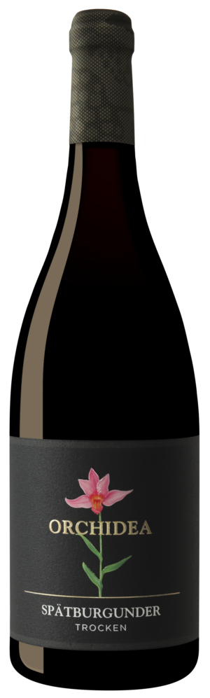 Spaetburgunder-Orchidea-300x997 Eine Flasche Rotwein mit der Beschriftung "Orchidea" und einer rosa Orchideenblüte als Grafik.