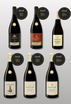 Rotwein-Selektion-90-Falstaff-April-2026-300x439 6 Weinflaschen vom Sasbacher Winzerkeller mit der falstaff Medaille