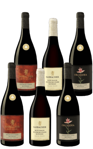 sasbacher-weinpaket-top10-baden-300x479 6 Flaschen Wein aus dem Sasbacher-Weinpaket Top10 Baden
