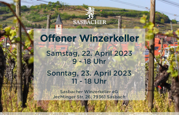 Übersicht zum Offenen Winzerkeller in Sasbach. Im Hintergrund ein Blick durch die Reben auf Sasbach.