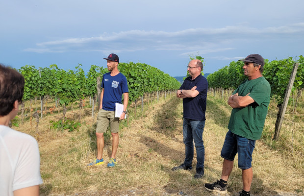 Weinbauberater Steffen Renz, Sasbacher Kellermeister Werner Giener und Vorstandsvorsitzender Günter Burkhardt