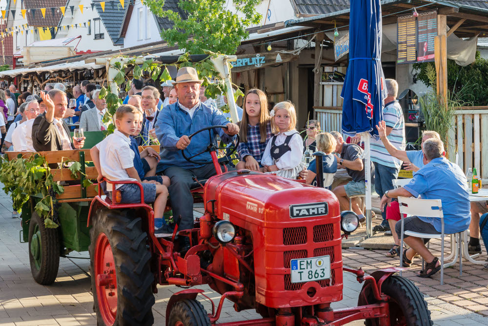 Ein Sasbacher Winzer fährt mit dem Oldtimer-Traktor beim Eröffnungsumzug des Sasbacher Winzerfests.