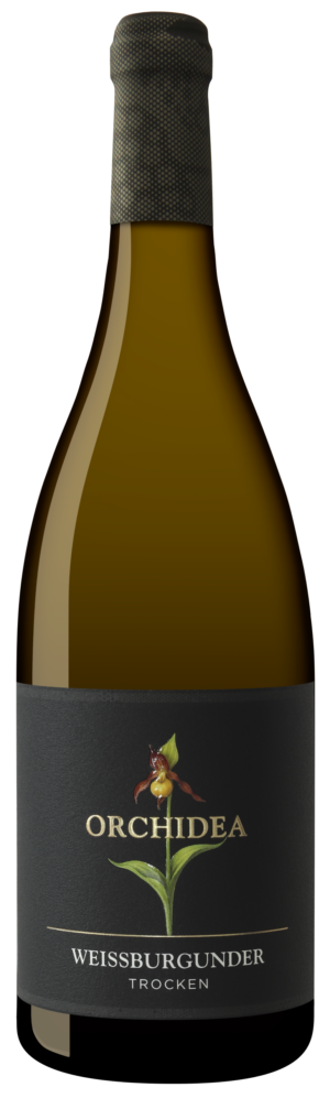 Weisser-Burgunder-Orchidea-300x997 Eine Flasche Weißwein mit der Beschriftung "Orchidea" und einer Orchideenblüte des gelben Frauenschuh als Grafik.